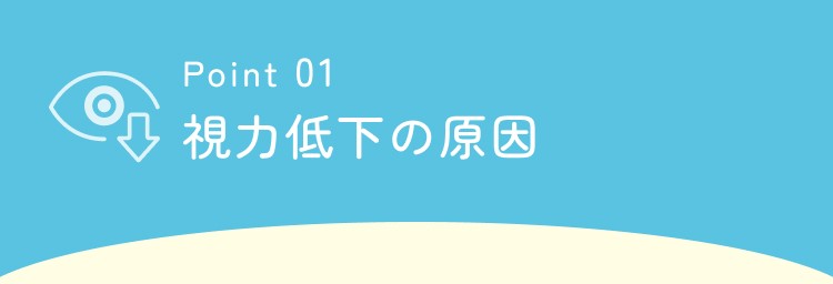 Point 01 視力低下の原因