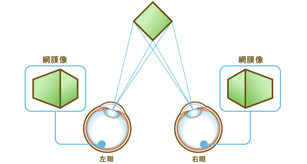 立体視（りったいし）とは、両目で少し異なる角度から物を見ることで、距離感や奥行きを感じる能力のことです